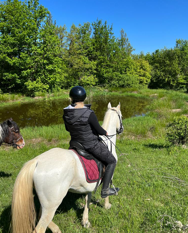 hipoterapija novi pazar