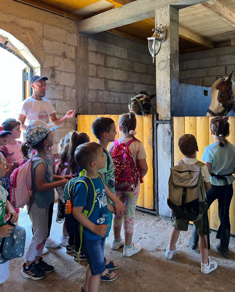 hipoterapija novi pazar